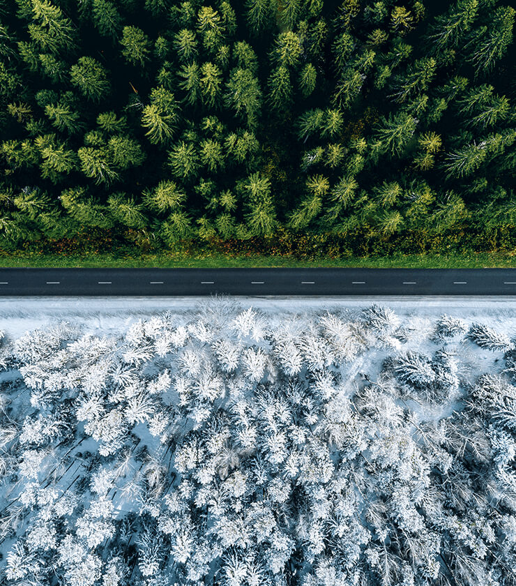 Difference Between Summer and Winter Tyres