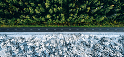 الفرق بين الإطارات الصيفية والشتوية